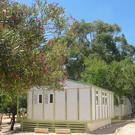 Parque De Campismo De